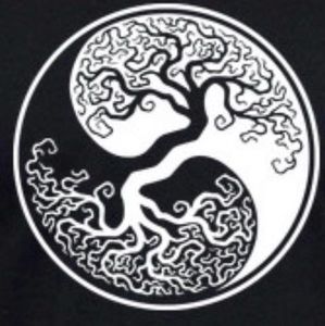 Meet your Posher, Dan